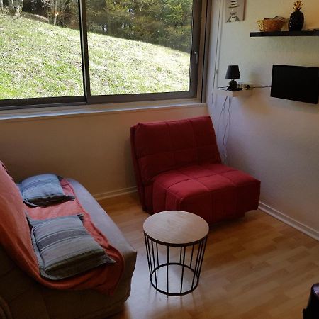 Piste Verte Apartment เบสเซต์-แซงตานัสแตส ภายนอก รูปภาพ