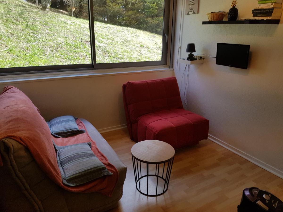 Piste Verte Apartment เบสเซต์-แซงตานัสแตส ภายนอก รูปภาพ